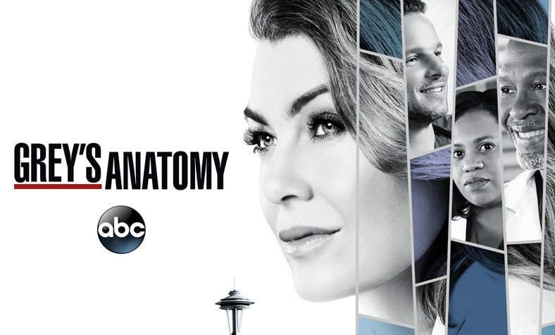 Grey's Anatomy Season 15 Given the Green Light by ABC