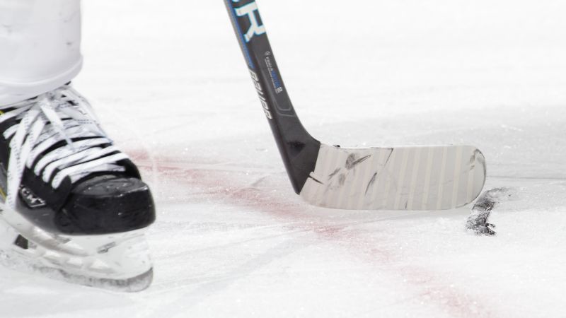 FX Developing Hockey Drama Series Trashers Based on True Story