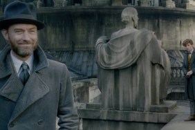 Fantastic Beasts TV spot invites you to enjoy the view