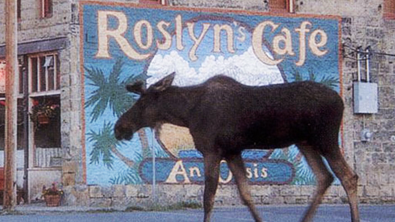 Northern Exposure revival