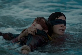 Netflix's Bird Box Photos Featuring Sandra Bullock Released