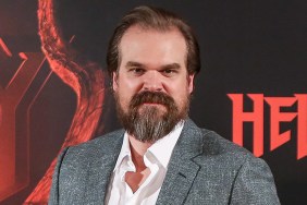 David Harbour Joining Scarlett Johansson in Marvel's Black Widow