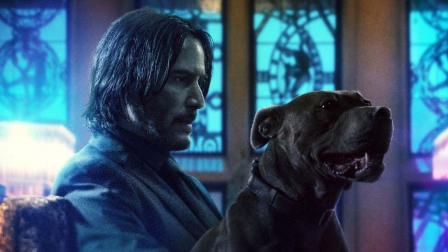 best dogs in film