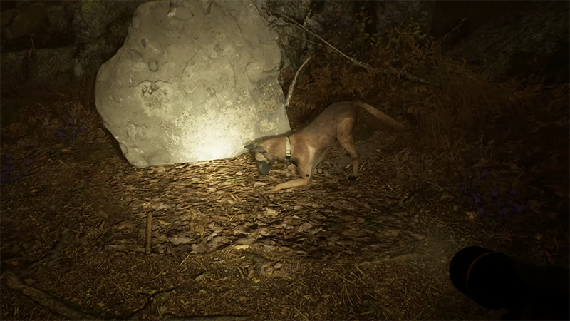 New Blair Witch Gameplay Trailer Highlights Dog Partner Work