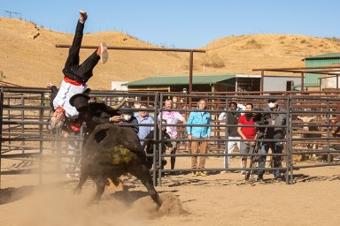 Jackass 4: Official Title & First Look Images Released Ahead of Trailer Debut