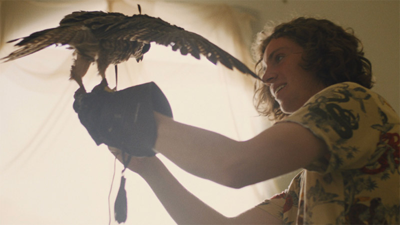 Exclusive: The Falconer Trailer Previews Coming-of-Age Adventure Drama