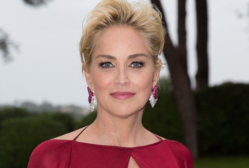 Sharon Stone Joins Kaley Cuoco in The Flight Attendant Season 2