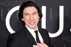 Will Adam Driver Play Snape