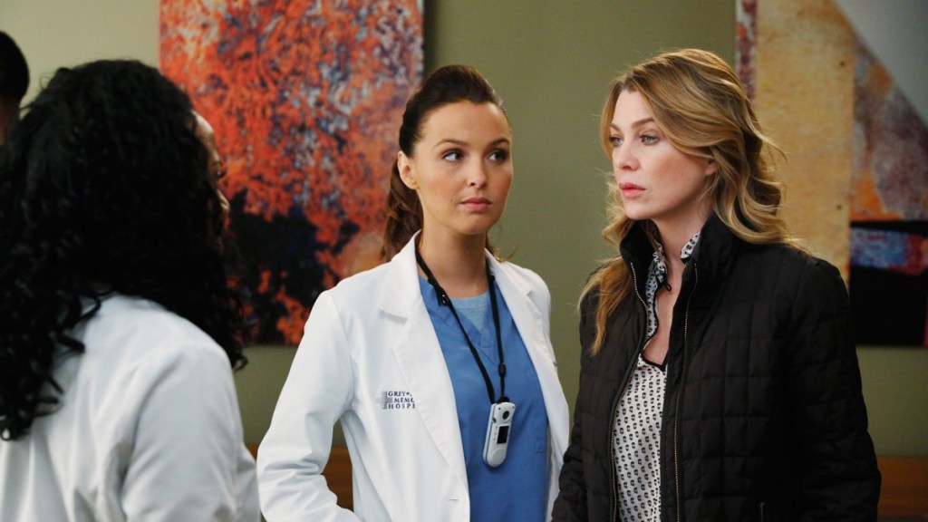 Grey's Anatomy Season 10 Streaming Where to Watch