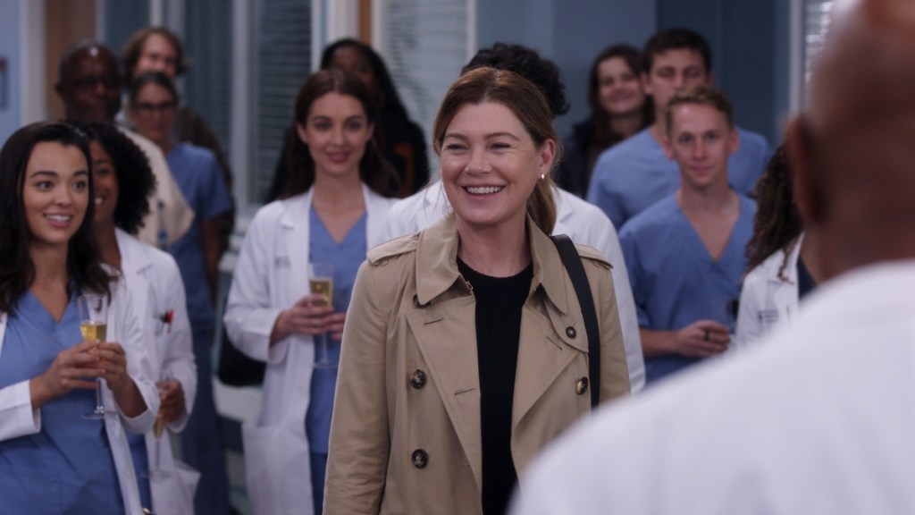 Grey's Anatomy Season 19 Streaming Where to Watch