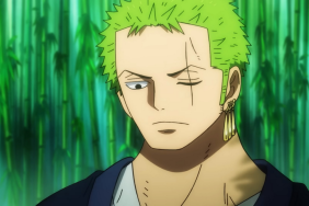 Zoro in One Piece