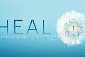 Heal (2017)