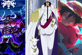 One-Piece-Zoan-Fruit-Users-Kaido-Sengoku-Luffy