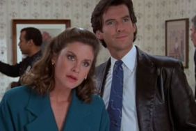 Remington Steele (1982) Season 4 Streaming