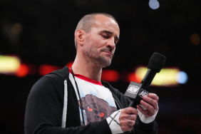 CM Punk