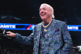 Ric Flair