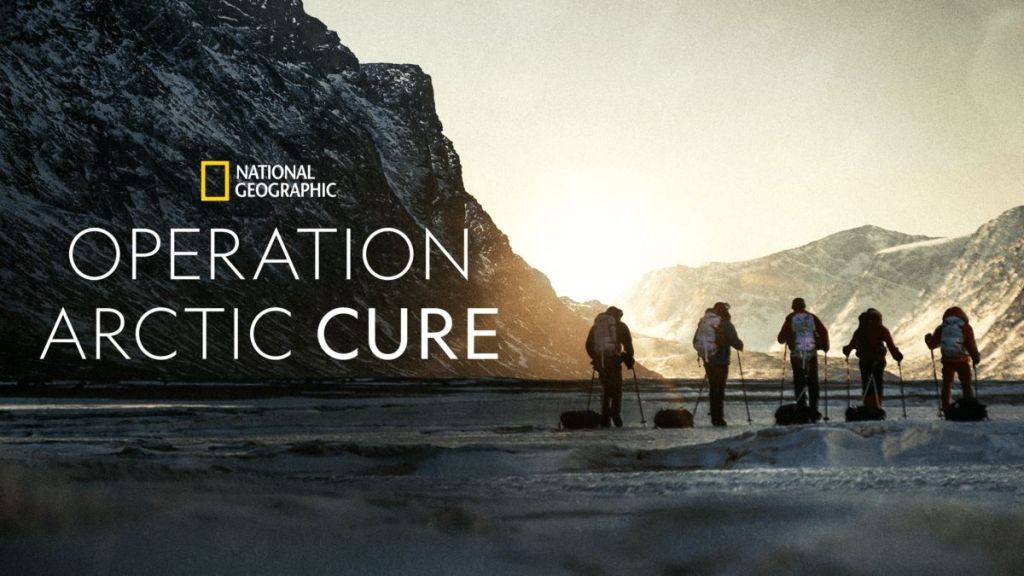 Operation Arctic Cure (2024)