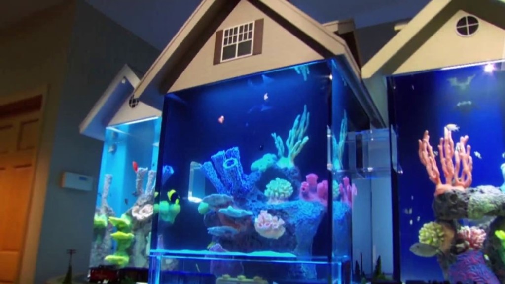 Tanked Season 14 Streaming: Watch & Stream Online via HBO Max