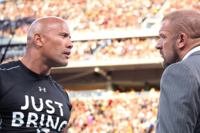 WWE The Rock and Triple H