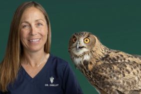 Dr. Oakley Yukon Vet Season 8 Streaming