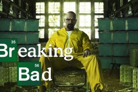 Breaking Bad Season 5: How Many Episodes & When Do New Episodes Come Out?