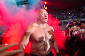 WWE Superstar Brock Lesnar