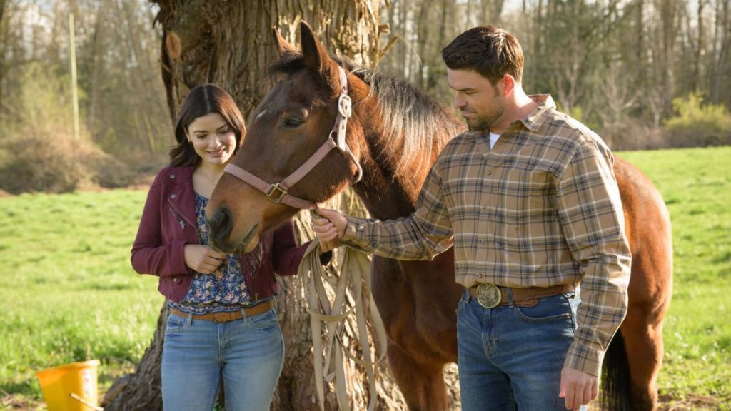 Vote One for Love Streaming: Watch & Stream Online via Peacock