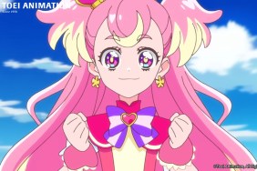 Wonderful Precure Season 1 How Many Episodes