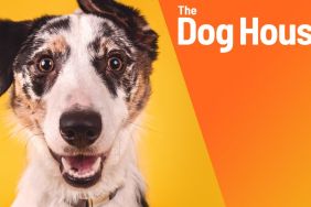 The Dog House Season 2 Streaming: Watch & Stream Online via HBO Max