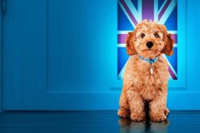 The Dog House Season 4 Streaming: Watch & Stream Online via HBO Max