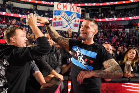 WWE Superstar CM Punk