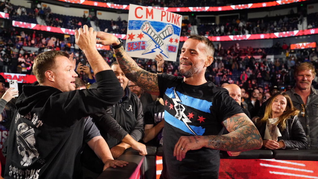 WWE Superstar CM Punk