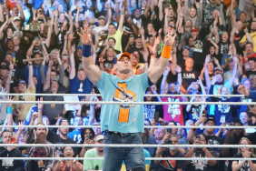 WWE Superstar John Cena