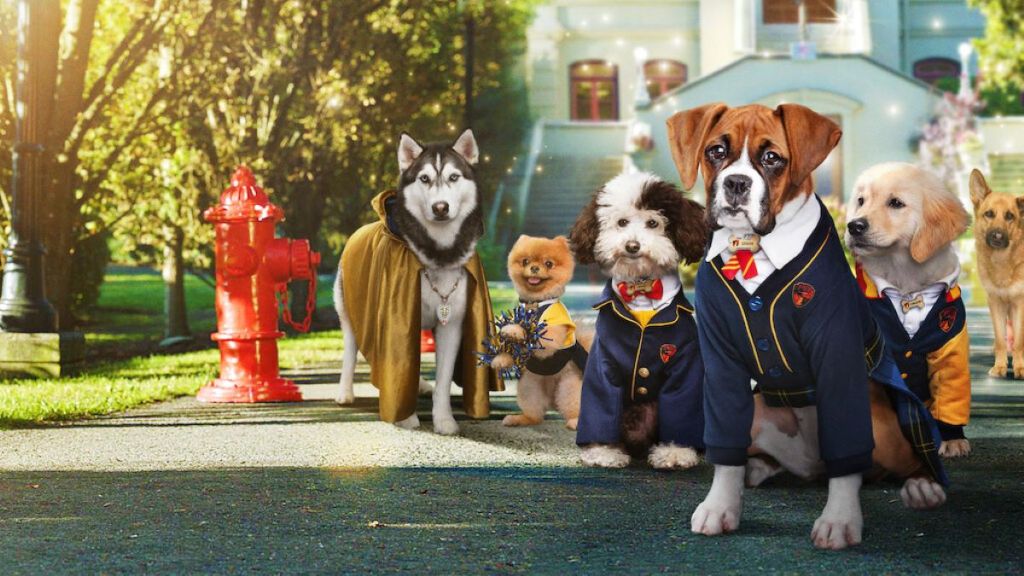 Pup Academy (2019) Season 2 Streaming: Watch & Stream Online via Netflix