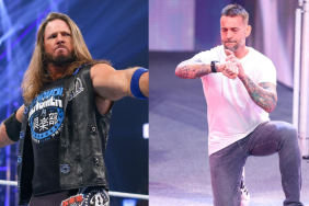 AJ Styles and CM Punk