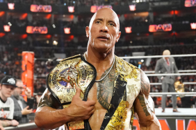 WWE Superstar The Rock