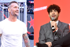 CM Punk and Tony Khan