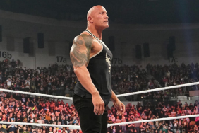 WWE Superstar The Rock