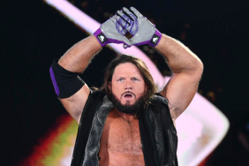 WWE Superstar AJ Styles