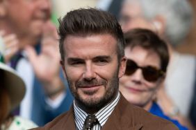 David Beckham