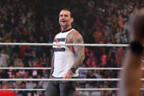 WWE Superstar CM Punk