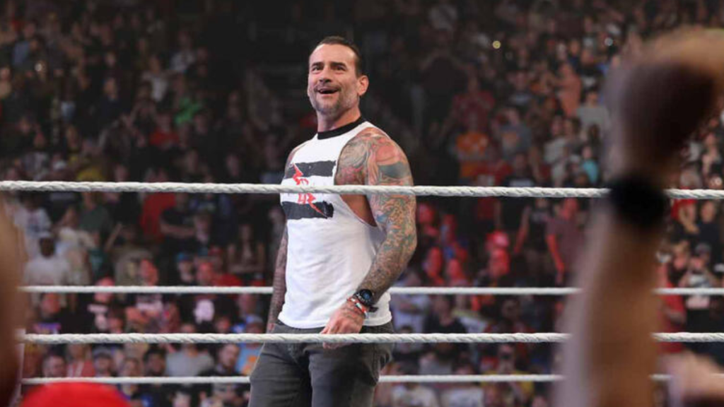 WWE Superstar CM Punk