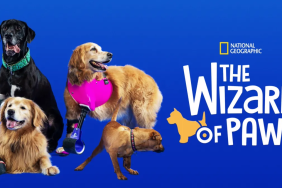 The Wizard of Paws Season 1 streaming