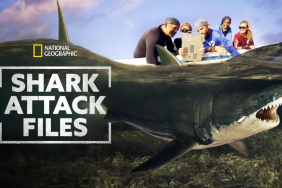 Shark Attack Files Season 1 streaming