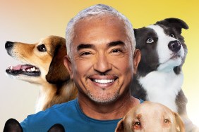 Cesar Millan: Better Human, Better Dog Season 4 Streaming: Watch & Stream Online via Hulu & Disney Plus