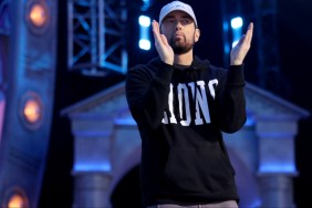 Eminem Slim Shady Marshall Mathers