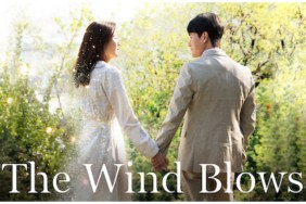 The Wind Blows Season 1 Streaming: Watch & Stream Online via Netflix