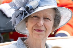 Princess Anne accident hospitalised injury