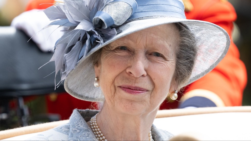 Princess Anne accident hospitalised injury