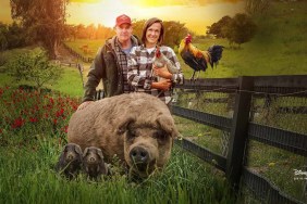 The Biggest Little Farm: The Return Streaming: Watch & Stream Online via Disney Plus